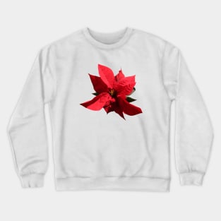 Poinsettia Crewneck Sweatshirt